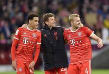 中距离回应 中距离回应